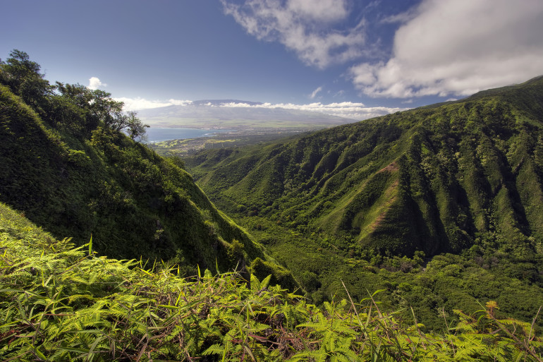 Hawaii image 13
